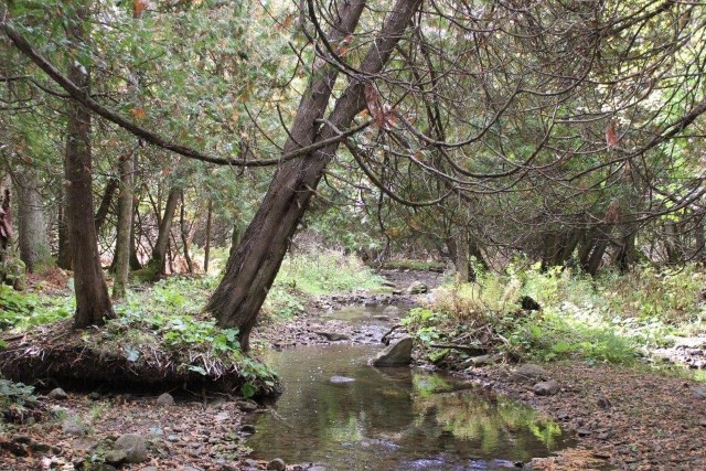 Pretty area. Photo by my sister. Pretty area. Photo by my sister.