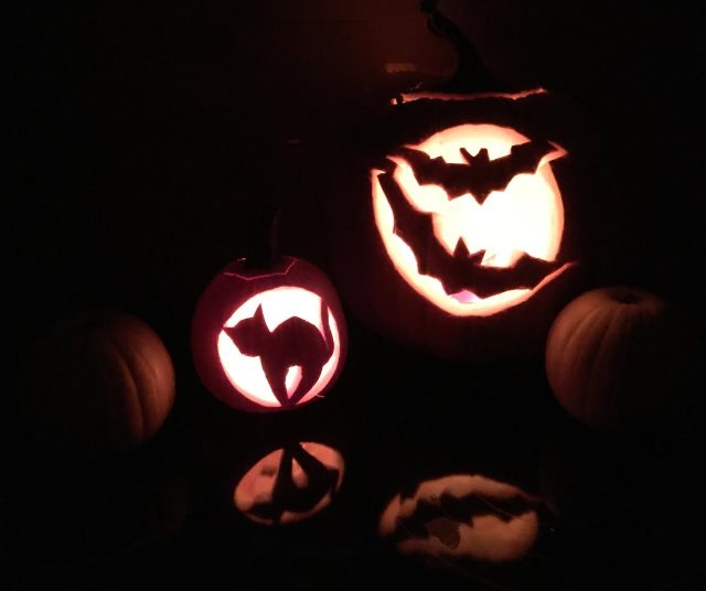 Cats and Bats Cats and Bats