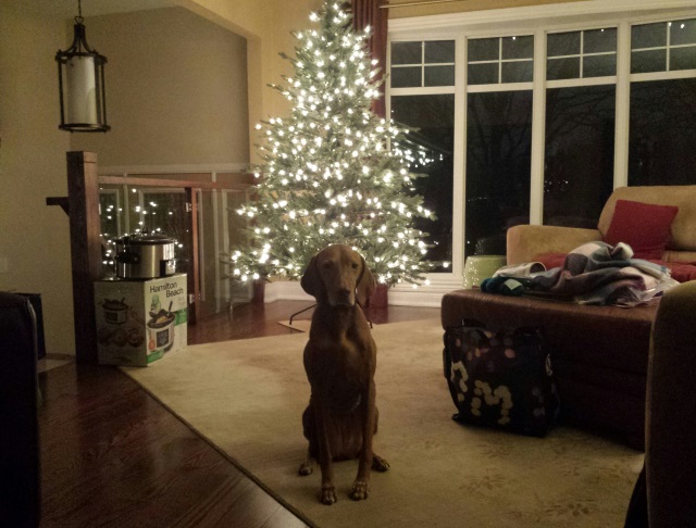 Our new Christmas tree Our new Christmas tree