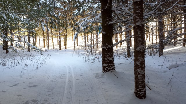 One of the wonderful Hockleycrest Ski Trails