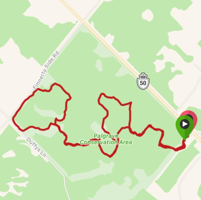 Palgrave Loop Palgrave Loop