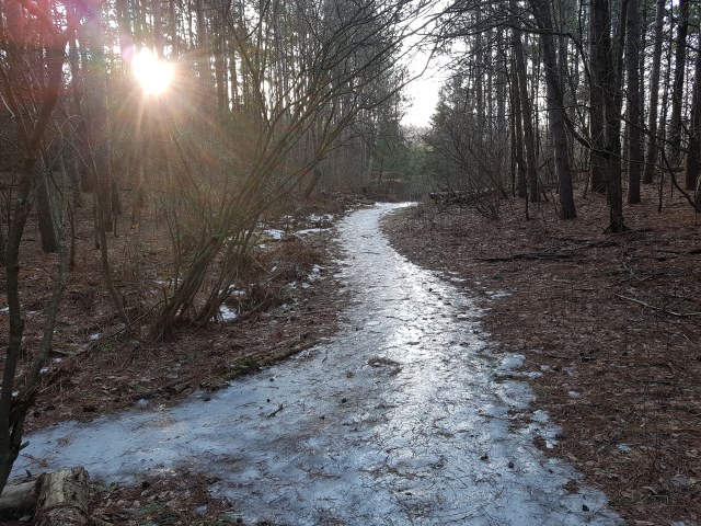 Icy trails Icy trails