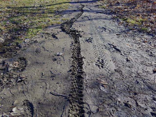 Yes. It was very muddy. Yes. It was very muddy.