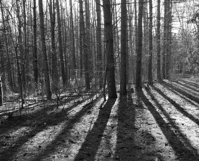 Sun and Shadow on the trail Sun and Shadow on the trail