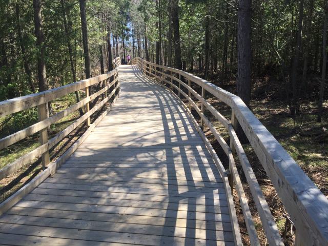 One of the many boardwalk One of the many boardwalk