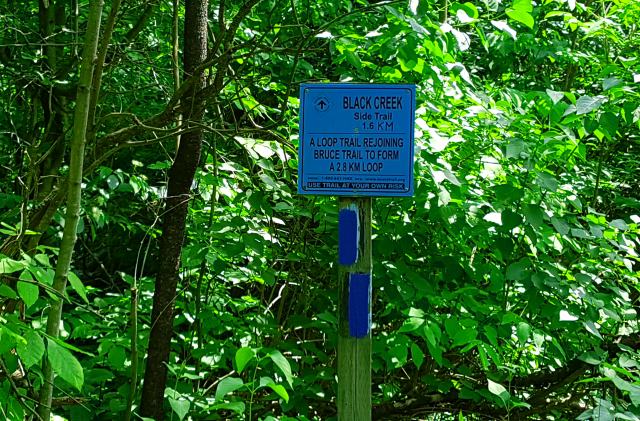Bruce Trail side trail. Black Creek Bruce Trail side trail. Black Creek