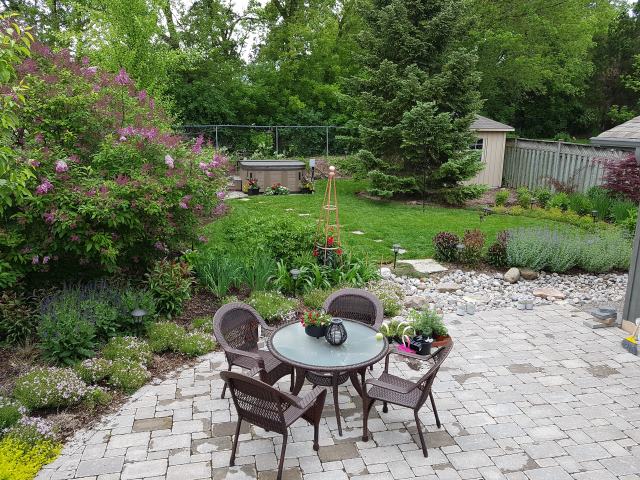 The backyard! The backyard!
