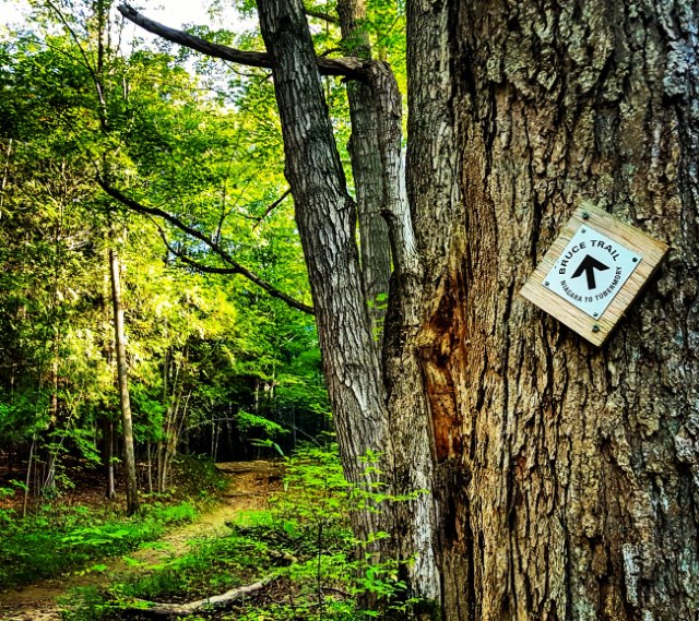 Bruce Trail Day hike