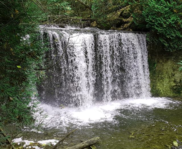 Hogg’s Falls Hogg’s Falls