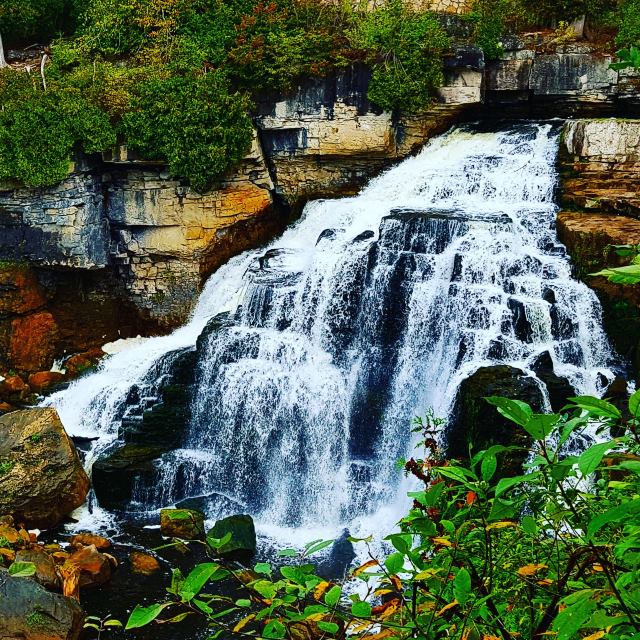 Inglis Falls! Inglis Falls!