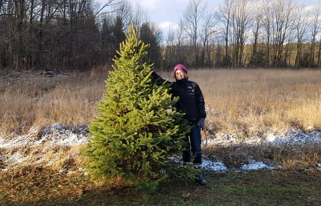 The Tree Farm