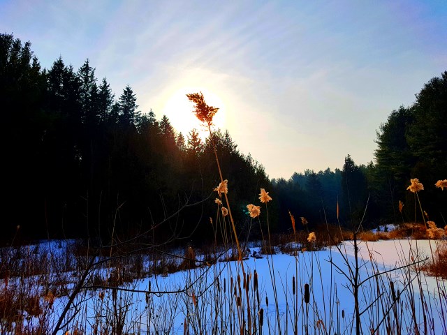 Palgrave Conservation Palgrave Conservation
