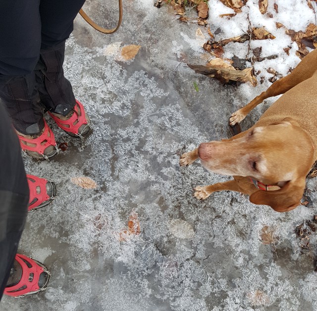 Hello ice. Hello ice.