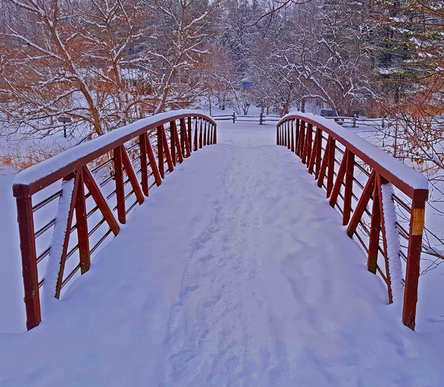 The bridge we cross all the time when we walk the dog The bridge we cross all the time when we walk the dog