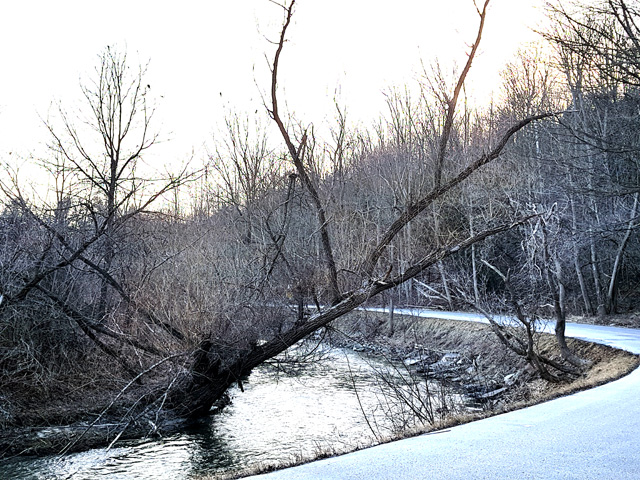 A bend in the river A bend in the river