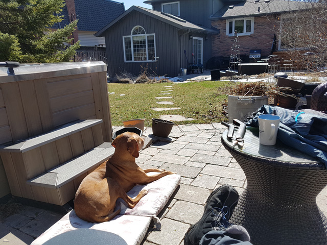 Back to the backyard Back to the backyard