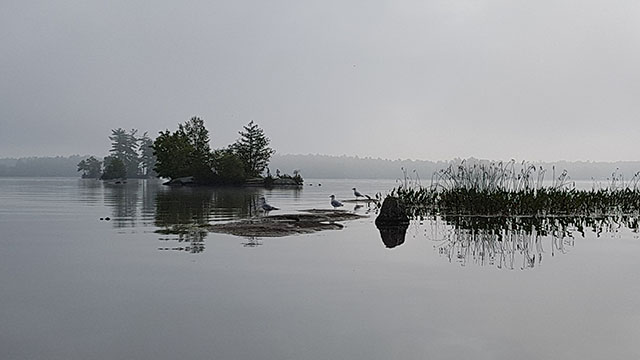 Spooky. No not the seagulls… Spooky. No not the seagulls…
