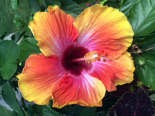 This beauty was captured by my Mom at KK’s visitation. A small ray of light on that dark day… This beauty was captured by my Mom at KK’s visitation. A small ray of light on that dark day…