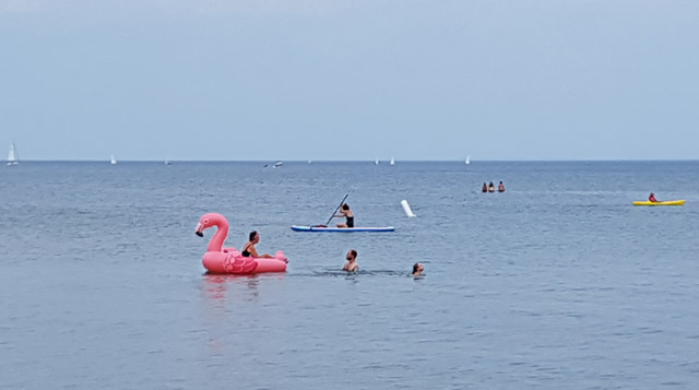 Yes, that is bdot behind the um flamingo… Yes, that is bdot behind the um flamingo…