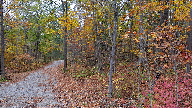 The colours at the cottage The colours at the cottage