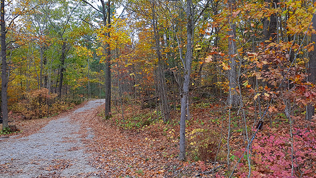 The colours at the cottage