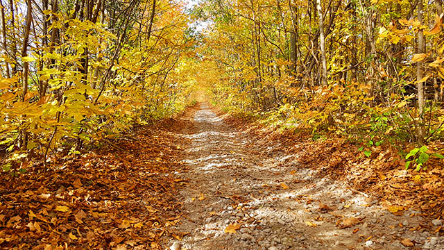 The colours at the cottage The colours at the cottage