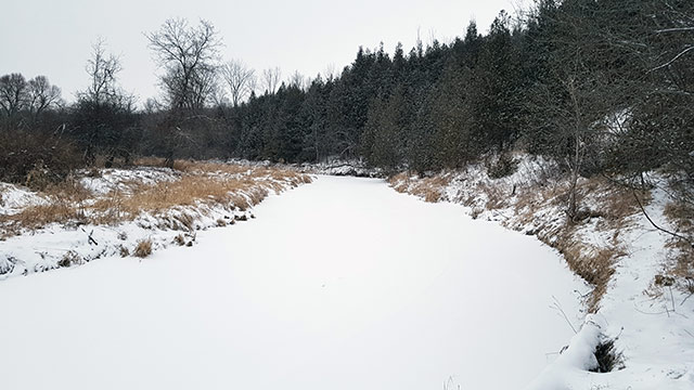 Not really much snow. But it is cold… Not really much snow. But it is cold…