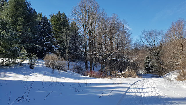 Another lovely day to ski! Another lovely day to ski!