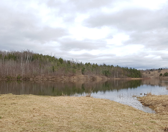 Pond along the trail