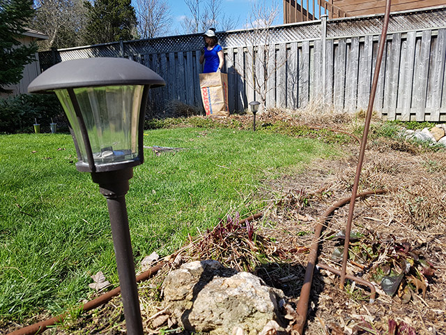 Back yard Gardens