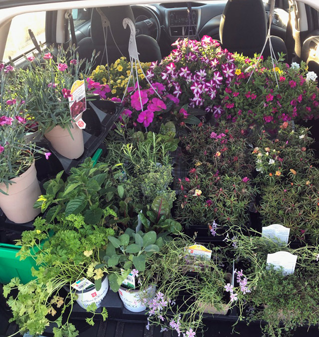 Unsupervised Wife shopping…. Unsupervised Wife shopping…