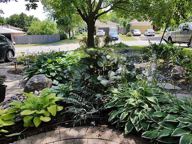 The view from the front patio