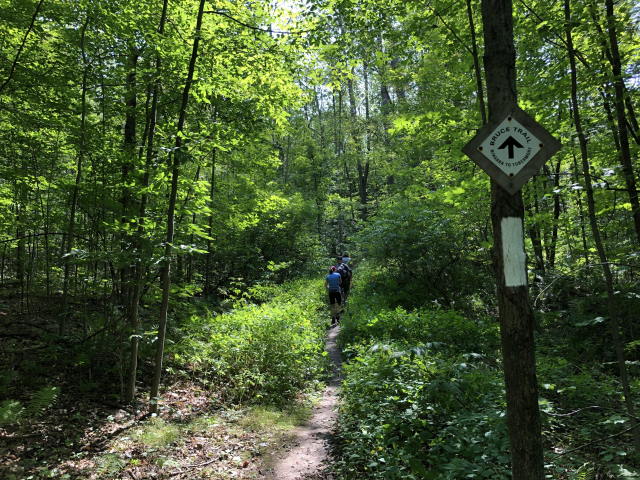 Hockley Hike Hockley Hike