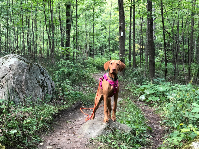 Nado hike Nado hike