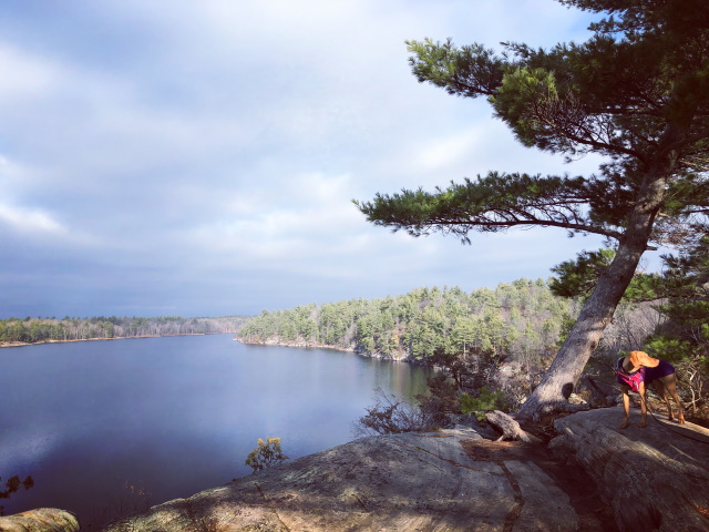 Lovely hike Lovely hike