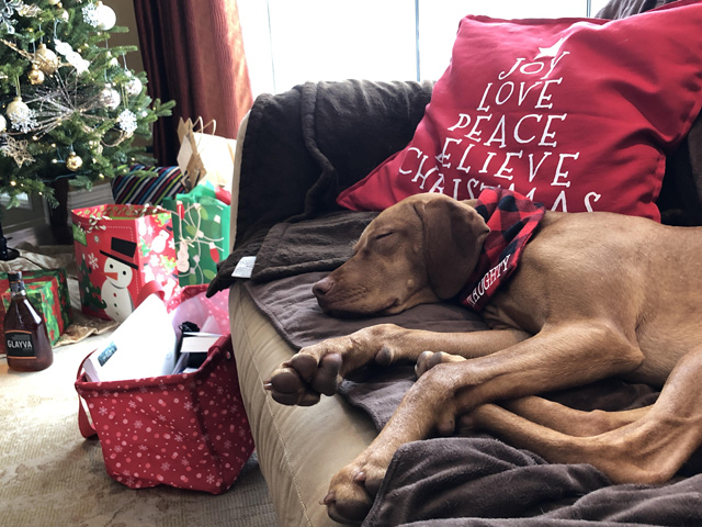 Christmas miracle Christmas miracle