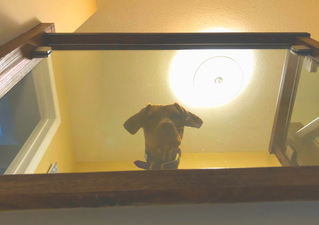 Hey There! Hey There!