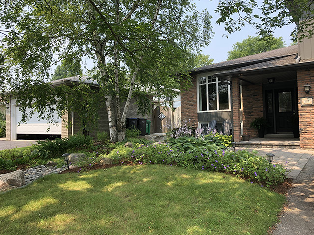 Front yard is looking good! Front yard is looking good!