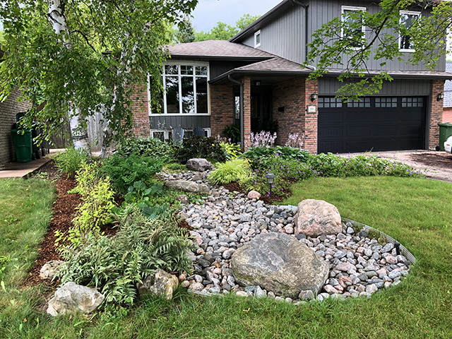 Front yard Front yard