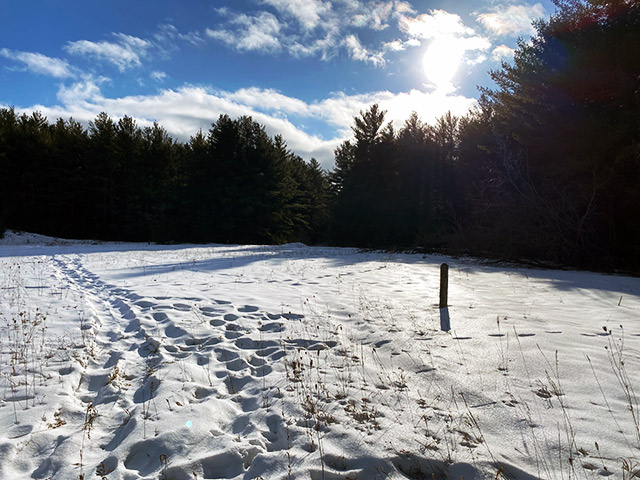 Lovely day for a Winter hike Lovely day for a Winter hike