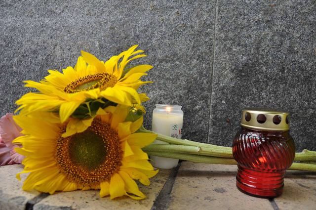 Sunflowers – A symbol of hope Sunflowers – A symbol of hope