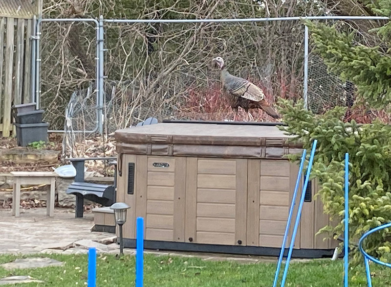 Get off the hottub!