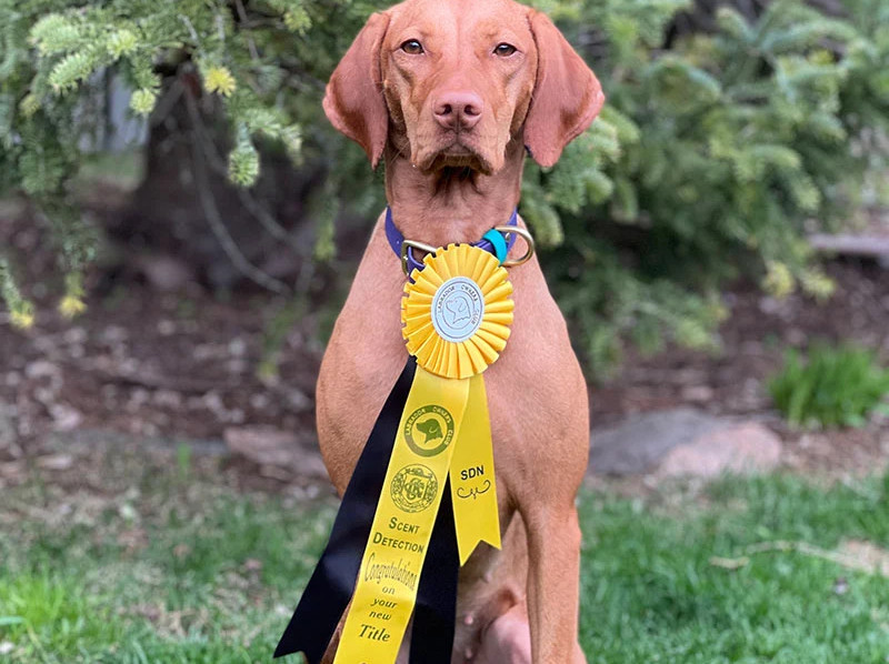 More ribbons for me? More ribbons for me?