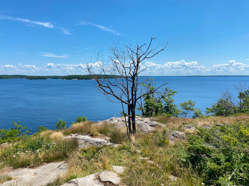 Killbear rock Lookout Point