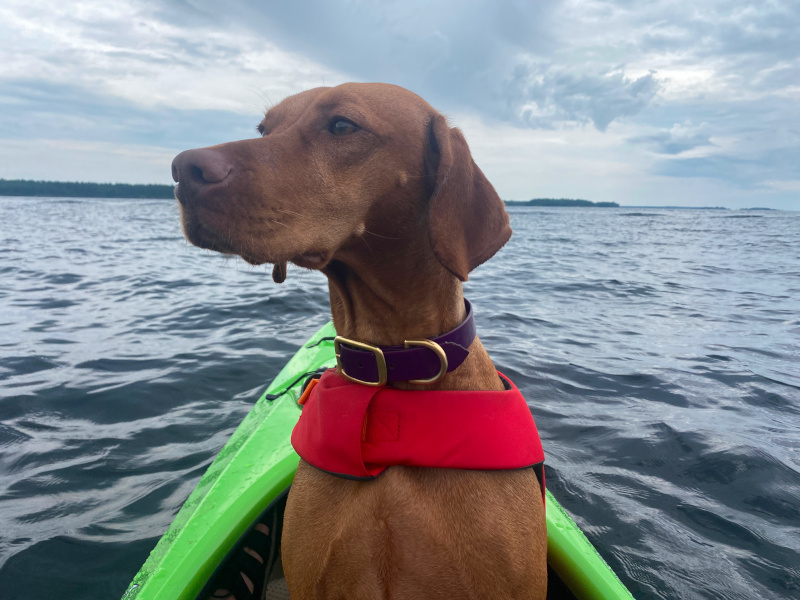 First mate wasn't too sure about Georgian Bay First mate wasn't too sure about Georgian Bay