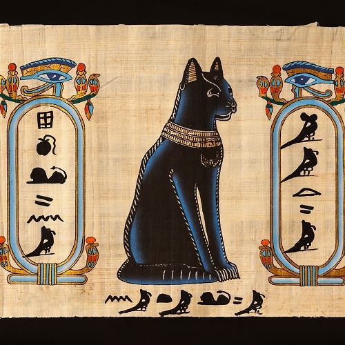 Black cats Black cats