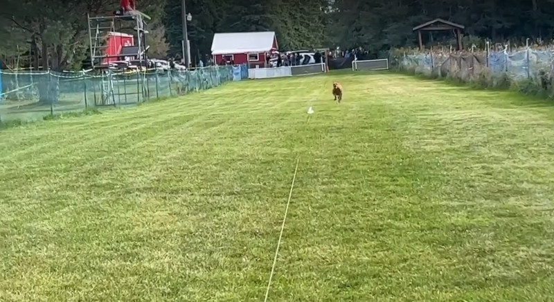 Better than Olympic speed. No, really... Better than Olympic speed. No, really...
