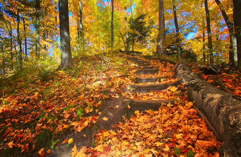 Hockley in the Fall Hockley in the Fall