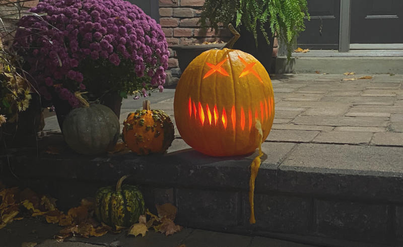 This year's pumpkin This year's pumpkin