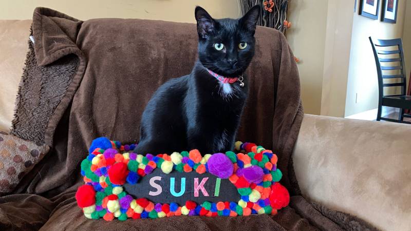 Princess girl panther Princess girl panther